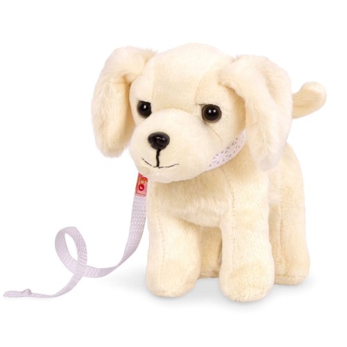 golden retriver.jpg