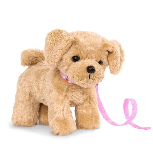 Goldendoodle.jpg