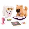 PAWS FOR APPLAUSE 2.jpg