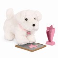 PAWS FOR APPLAUSE 3.jpg