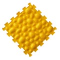 sawanna 5.jpg