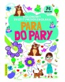 9788382490138 Kolorowy zeszyt przedszkolaka. Para do pary.jpg