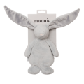 SILVER_MINI_1.png