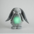 Moonie_Silver_light1.jpg