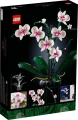 Botanical Collection