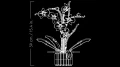 10311_alt9.webp
