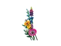 Botanical Collection