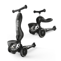 scoot and ride highwaykick 1 zebra.png