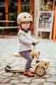 4897033966078-96607-SCOOTANDRIDE-Highwaykick-1-Lifestyle-2w1-Jezdzik-i-hulajnoga-z-zamykanym-schowkiem-1-5-lat-Leopard-(29).jpg