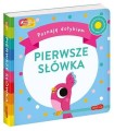 pol_pl_Pierwsze-slowka-Akademia-Madrego-Dziecka-Poznaje-dotykiem-838_2.jpg