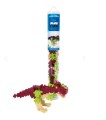 trex plusplus.jpg