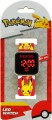 big_POK4387-2.jpg