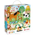 611067_large.jpg