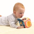 30088-insitu2a-600x600.jpg