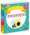 pol_pl_Zwierzeta-Akademia-Madrego-Dziecka-Poznaje-dotykiem-1188_2.jpg