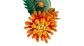10368_WEB_SEC02_NOBG.webp