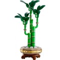 lego-10344-dracena-sandera (1).jpg