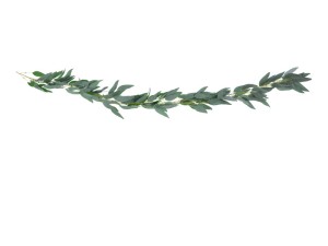 PartyDeco Girlanda liscie wierzby 2m