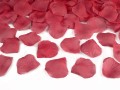09ab479a20b03abb18b5937dd0f92af8