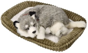 Szczeniaczek oddychający Alaskan Husky Perfect Petzzz