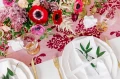 big_PUDP8_04_S.webp
