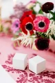 big_PUDP8_05_S.webp