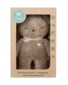 bbear_op-2.webp