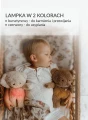 BrownBear-03-2.webp
