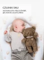 BrownBear-04__1_-2.webp