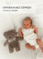 BrownBear-06__1__f281-k4-2.webp