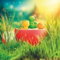 Apple-Puzzler-lifestyle-7.jpg