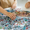 df4a9404-edit_2_31.webp