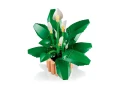 lego-botanicals-11504-skrzydlokwiat-3.webp