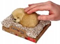 Perfect-Petzzz-Szczeniaczek-Golden-Retriver-Mini-Szczekajacy-Interaktywny-Kolor-wielokolorowy.jpg