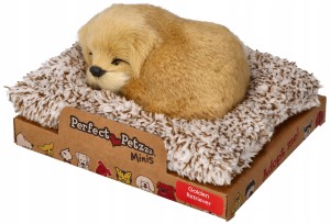 Szczeniaczek Golden Retriever 13 cm mały