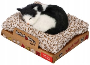 Kociak dachowiec czarno-biały 13 cm mały Perfect Petzzz