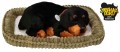 Maskotka-dla-dzieci-Szczeniaczek-Rottweiler-Interaktywny-Oddychajacy-piesek.jpg