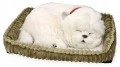 Maskotka-Szczeniaczek-Perfect-Petzzz-Pies-oddychajacy-Maltanczyk-Rodzaj-pieski.jpg