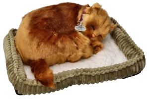 Zaadoptuj mnie Kociak oddychający Kot Angora turecka - Perfect Petzzz