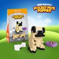 Pocket Pets Puppies