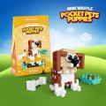 Pocket Pets Puppies