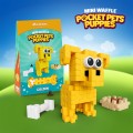 Pocket Pets Puppies