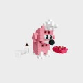 Pocket Pets Puppies