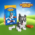 Pocket Pets Puppies