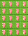 Granna, Superfarmer z Rancha, gra familijna 23.webp