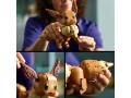LEGO-72151-POKEMON-Eevee (6).jpg