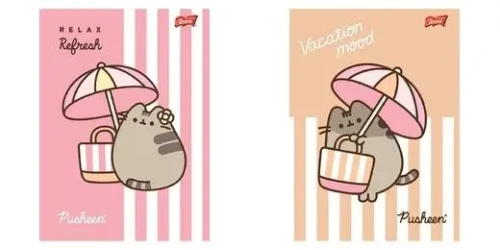 zeszyt pusheen w 2 linie 32 kartki.webp