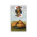 Mlle Lenormand Blue Owl - karty do wróżenia 5.jpg