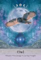 4250375110293 Cartamundi Lunar Magic Oracle – karty księżycowe z przewodnikiem